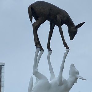 Meet your Posher, Emilie